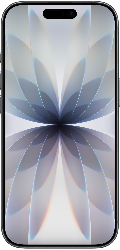 Apple iPhone 17 256 GB Sort